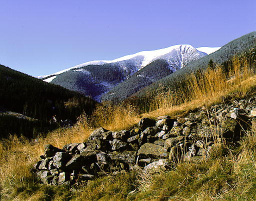 vršek